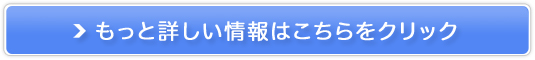 zݕEH[^[T[o[yANAoNz̔TCg